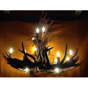  Moose Antler Chandelier