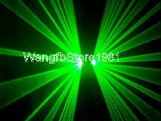  Lens 100mW Green Laser Light DJ Party Club Stage Disco Lazer Lighting
