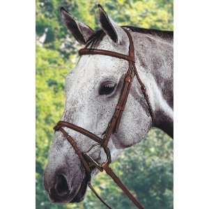   Raised Bridle w/Flash and Reins   Autumn   Horse