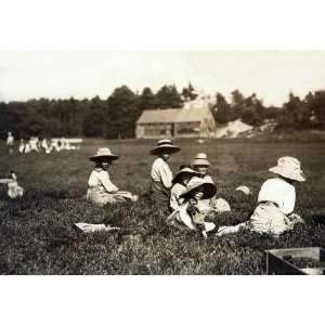 Cranberry Pickers, Eldridge Bog Near Rochester, Massachusetts, 1911 