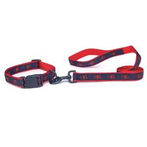 Zack and Zoey Resort Nylon Dog Lead Lobsters 6  