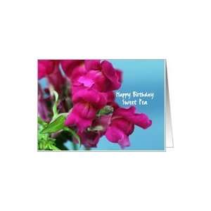  Happy Birthday Sweet Pea, Sweet Pea Blossoms Photo Card 