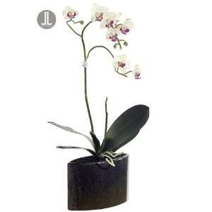   Artificial Cream & Pink Silk Phalaenopsis Orchid Plant