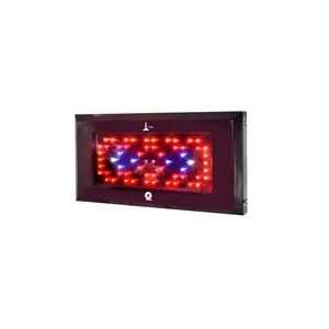   LIGHTHOUSE 180W Blackstar UV LED Grow Light 3w LEDs