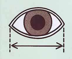 To measure the diameter of your dolls eyes, the eye socket should be 