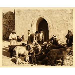   Men Sheep Jerusalem Old City   Original Photogravure