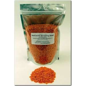  Organic Red Lentil Sprouting Seeds   Lentils Seed For 