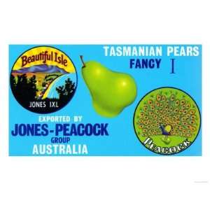  Jones Peacock Tasmanian Pears Giclee Poster Print