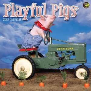  Playful Pigs 2013 Wall Calendar 12 X 12