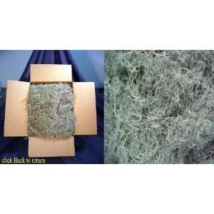  Real Spanish Moss approx 5 lbs boxed, cleaned Pet 