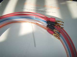 10 ft pr DNM Precision reson speaker cable Banana ends  