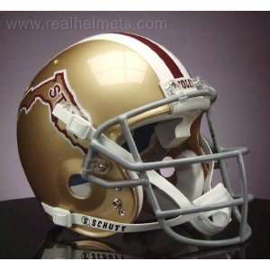  FLORIDA STATE SEMINOLES 1971 1974 GAMEDAY Football Helmet 