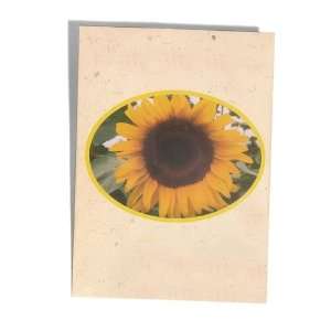  Promotional Seed Packet Sunflower (Mammoth Grey Stripe 
