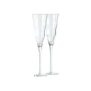  Shiraleah Clear Madrid Champagne Flute, Set of 6