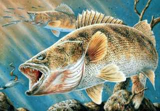 2009 FIRST OF STATE Minnesota Walleye Stamp Print by Nick Reitzel 