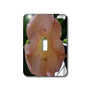   Trumpet An Orange Flower   Light Switch Covers   single toggle switch