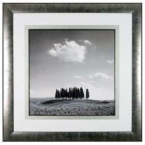 International Arts Cypress Trees Framed Black and White 
