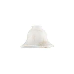  Westinghouse 81120 81120 General Light Fixture Part